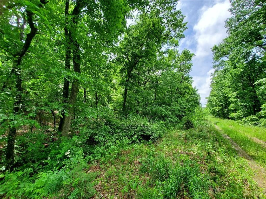 Prairie Grove, Washington County, AR Undeveloped Land, Homesites for sale Property ID 417061086