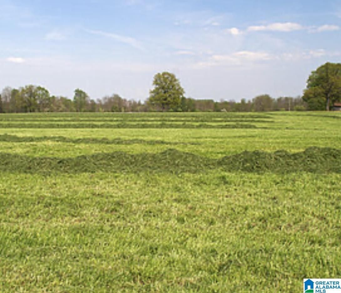 Hayden, Blount County, AL Farms and Ranches for sale Property ID 417061567 LandWatch