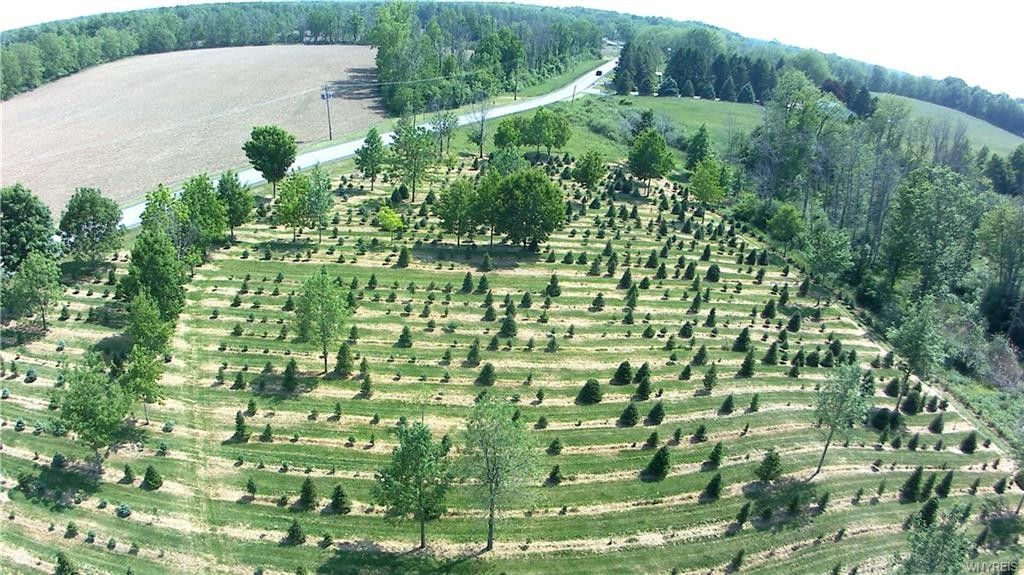 Medina, Orleans County, NY House for sale Property ID 417062149