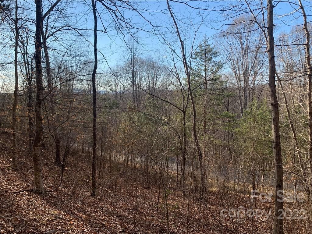 Rutherfordton, Rutherford County, NC Recreational Property, Undeveloped