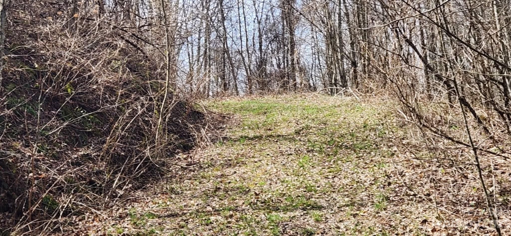 Clyde, Haywood County, NC Farms and Ranches, Homesites for sale