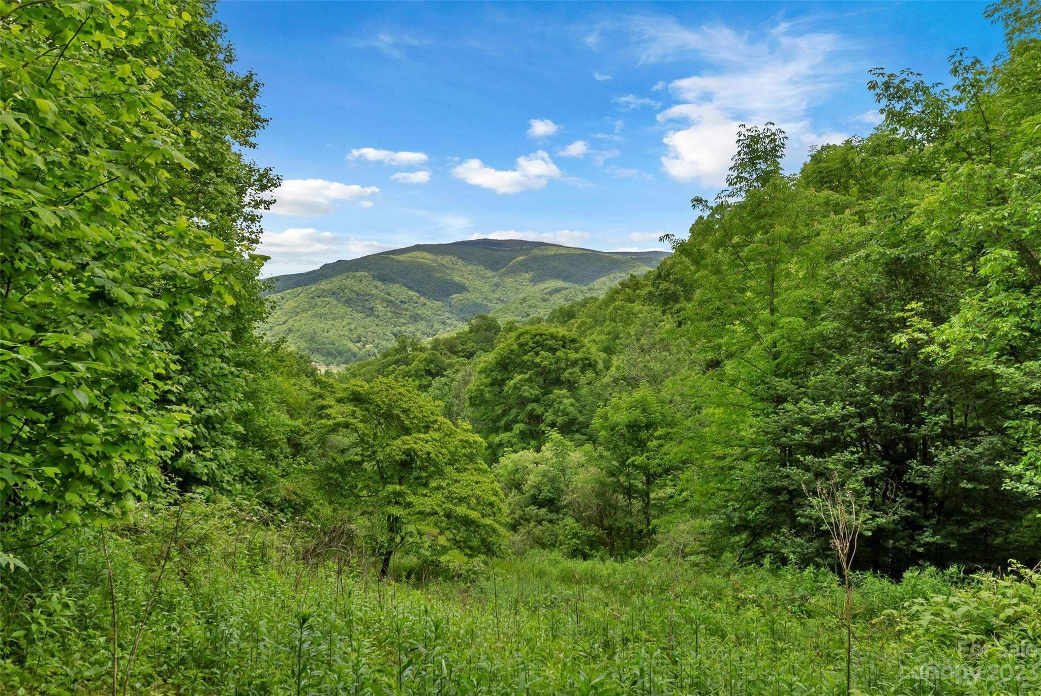 Bakersville, Mitchell County, NC Undeveloped Land for sale Property ID