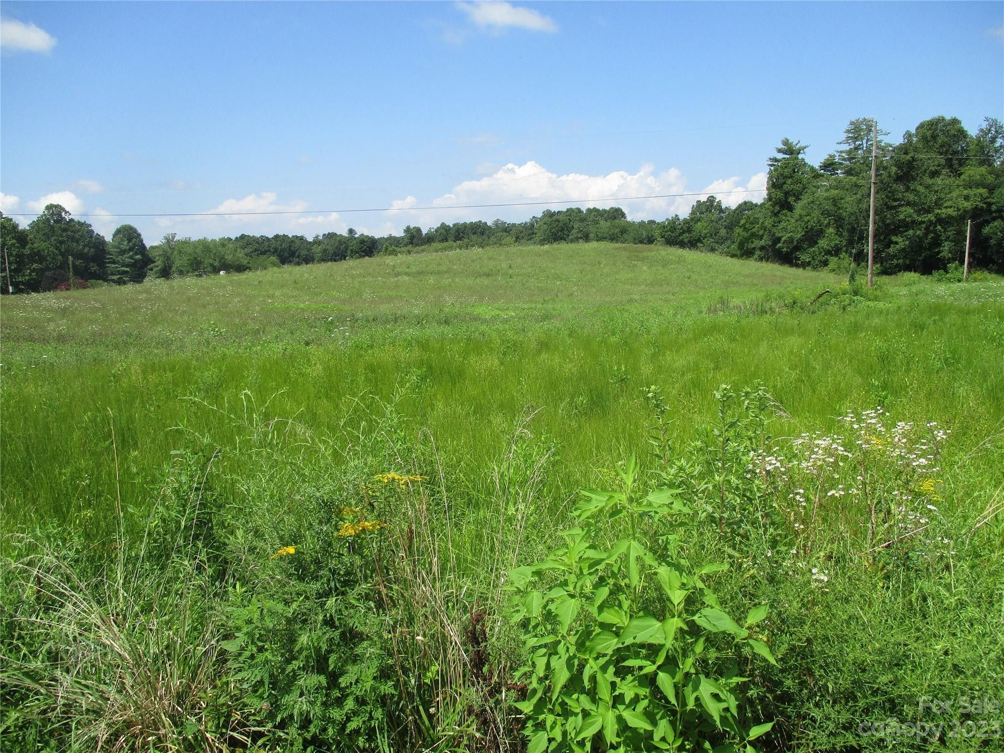 Hendersonville, Henderson County, NC Undeveloped Land for sale Property