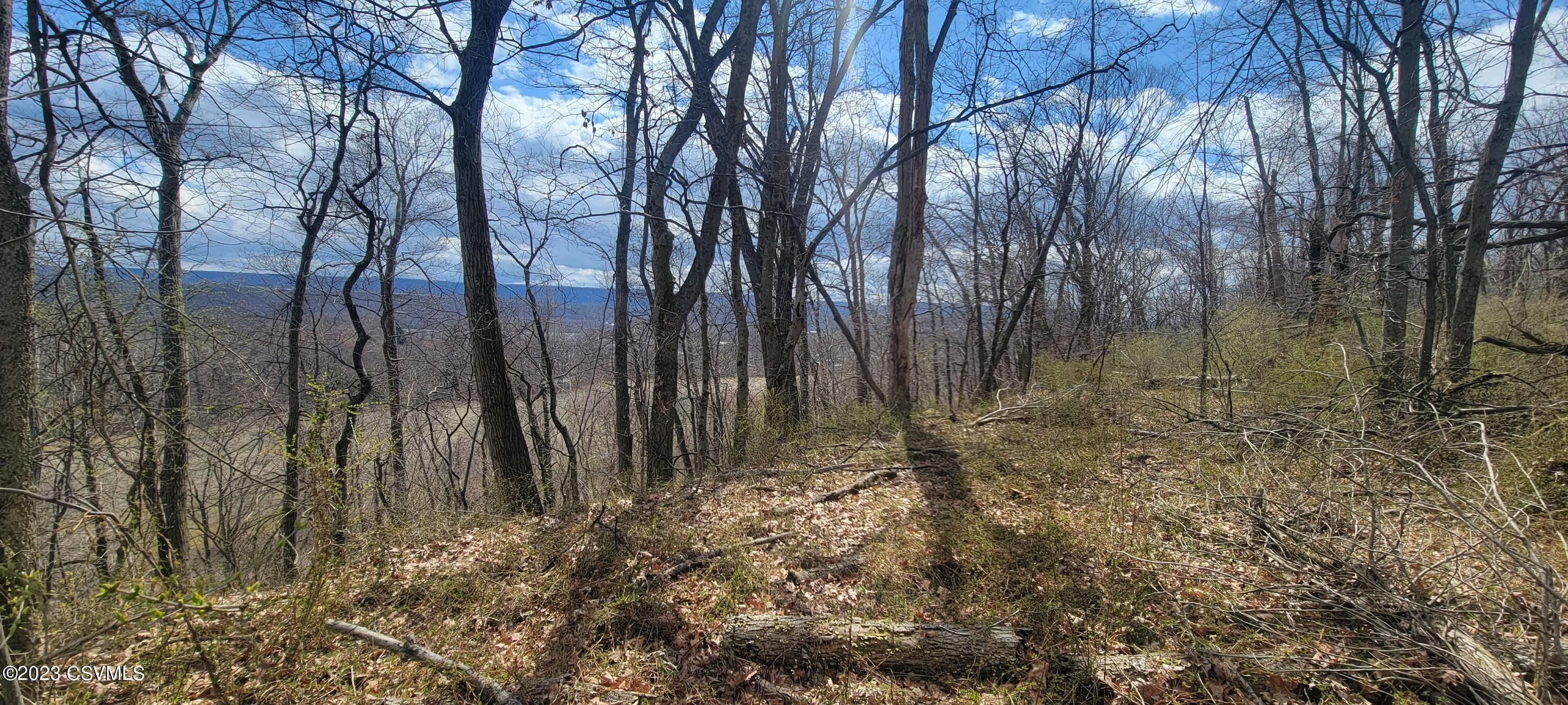 RUCKLE HILL Road, Berwick, PA 18603 MLS 2093734 LandWatch