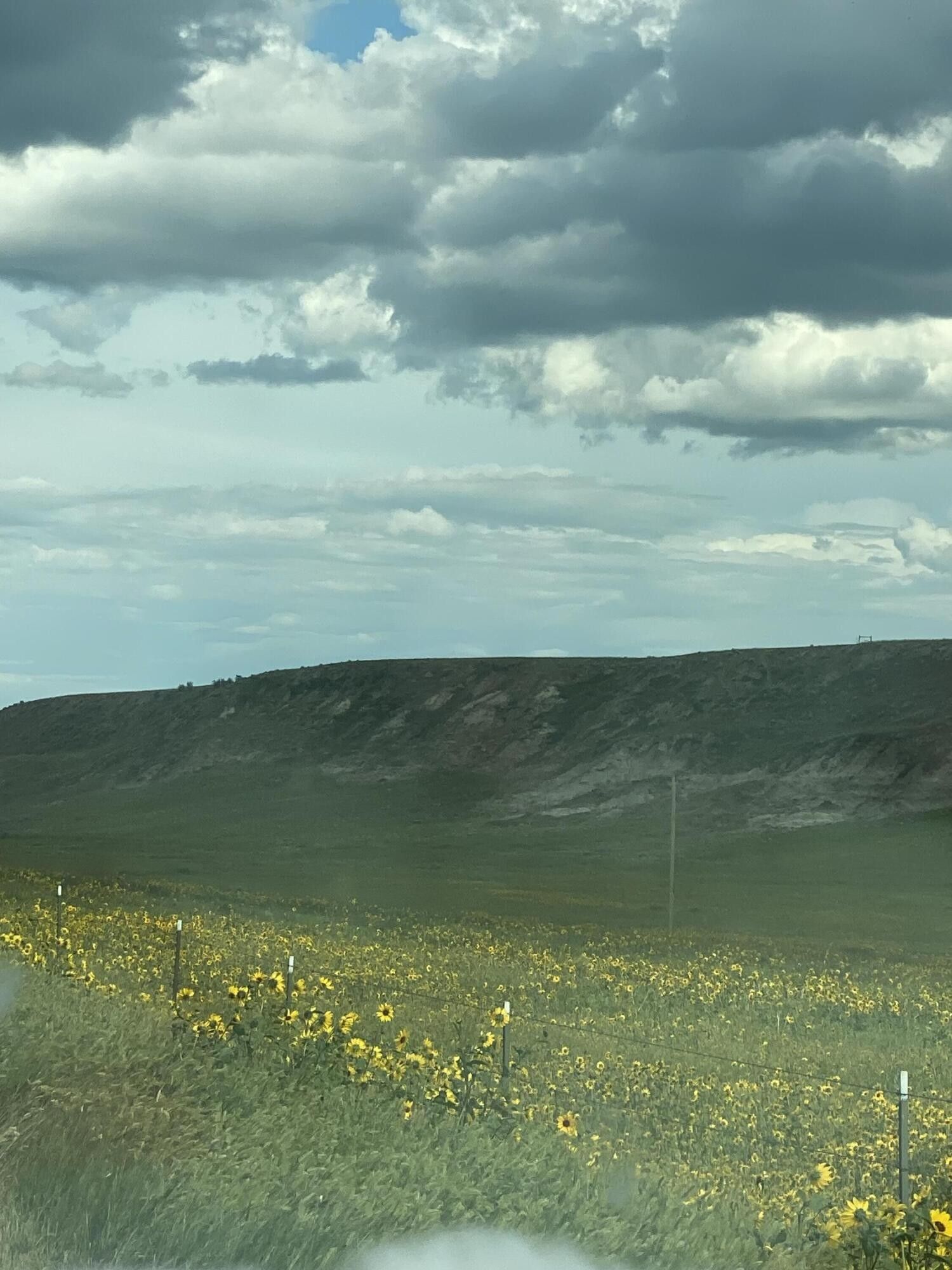 Havre, Hill County, MT Undeveloped Land for sale Property ID 416688285