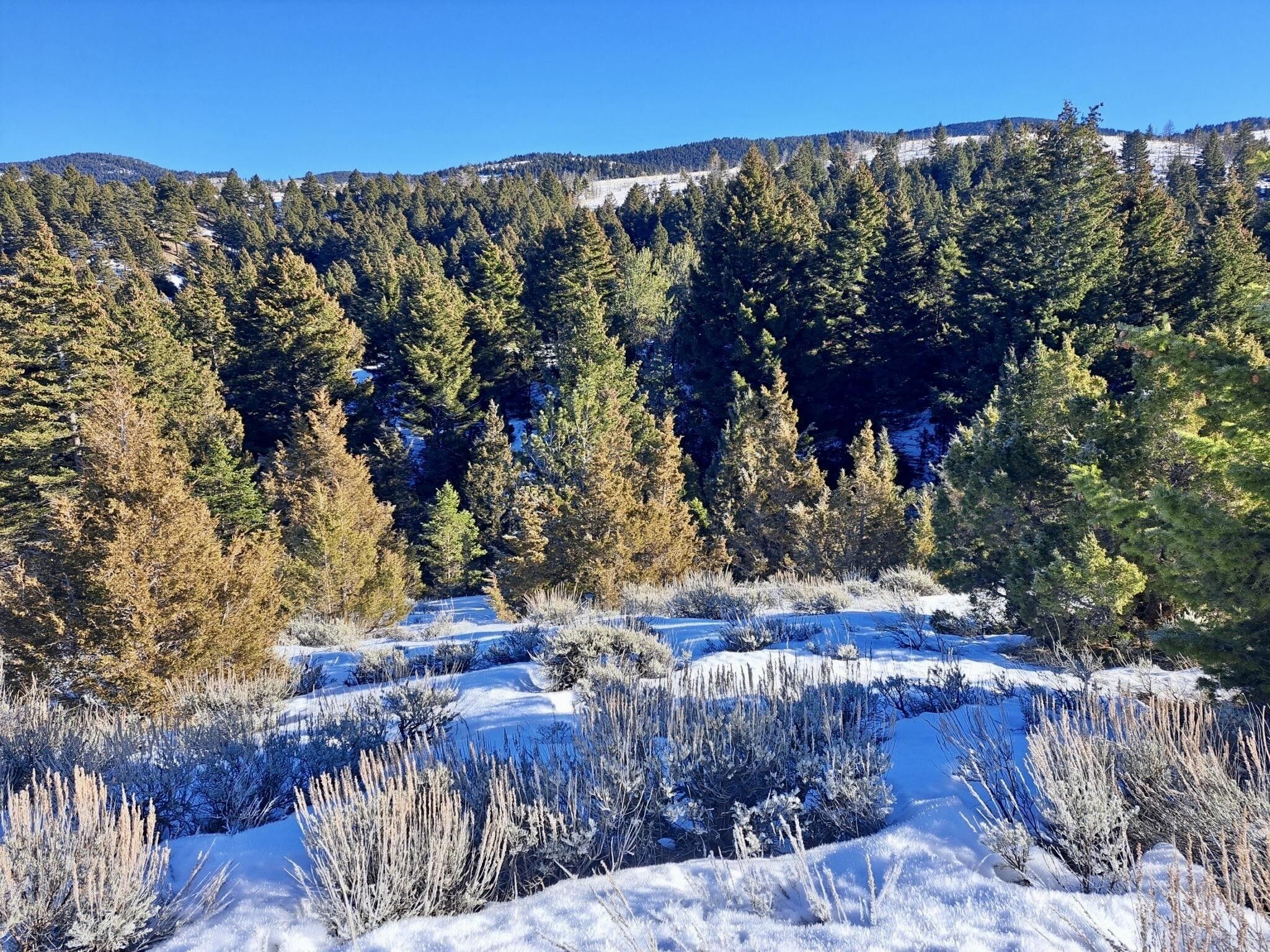 Three Forks, Gallatin County, MT Undeveloped Land for sale Property ID
