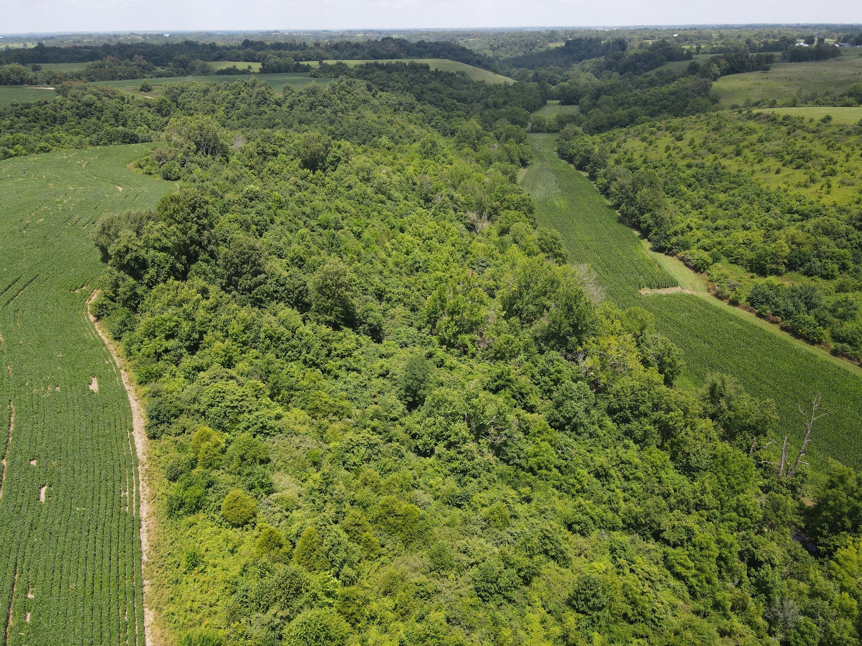 Lancaster, Garrard County, KY Farms and Ranches for sale Property ID