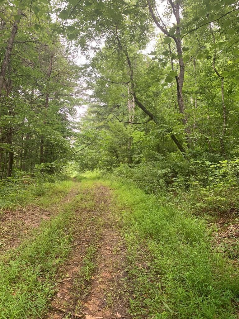 Wallingford, Fleming County, KY Farms and Ranches for sale Property ID