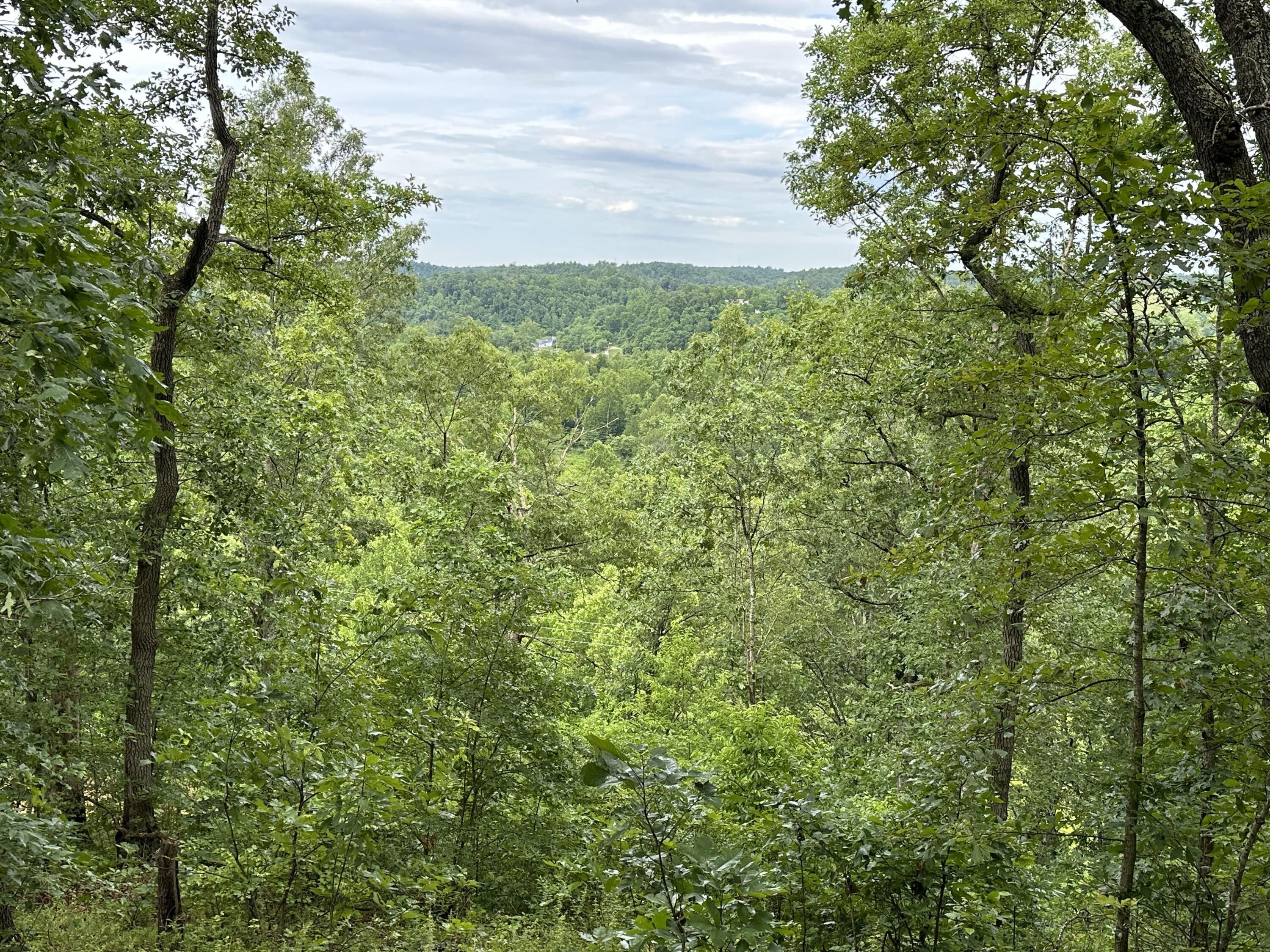 Hitchins, Carter County, KY Farms and Ranches for sale Property ID