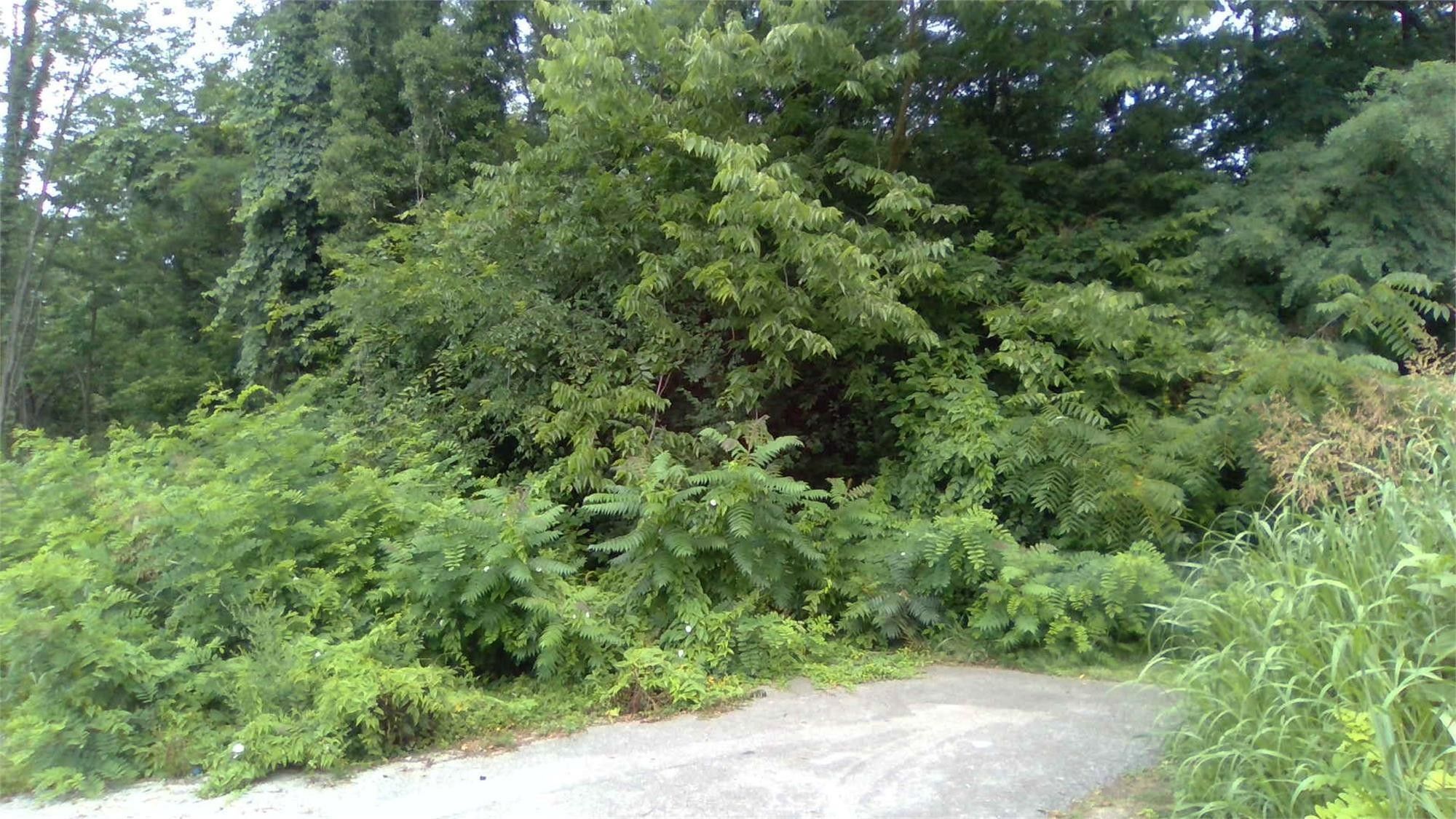 Mt Sterling, Montgomery County, KY Farms and Ranches, Homesites for