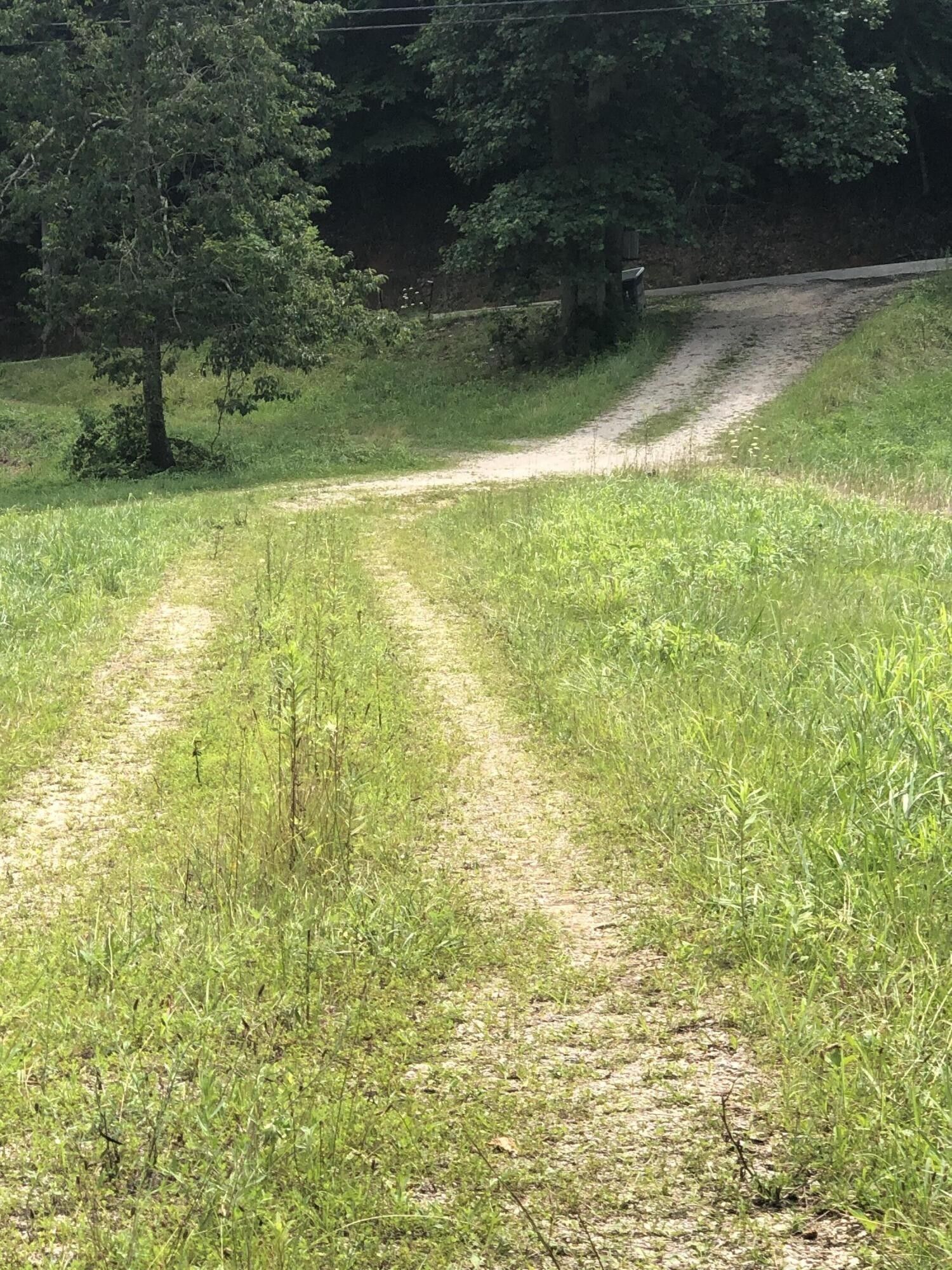 Frenchburg, Menifee County, KY Farms and Ranches for sale Property ID