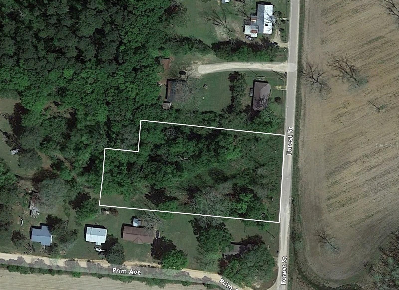 Graceville, Jackson County, FL Undeveloped Land, Homesites for sale
