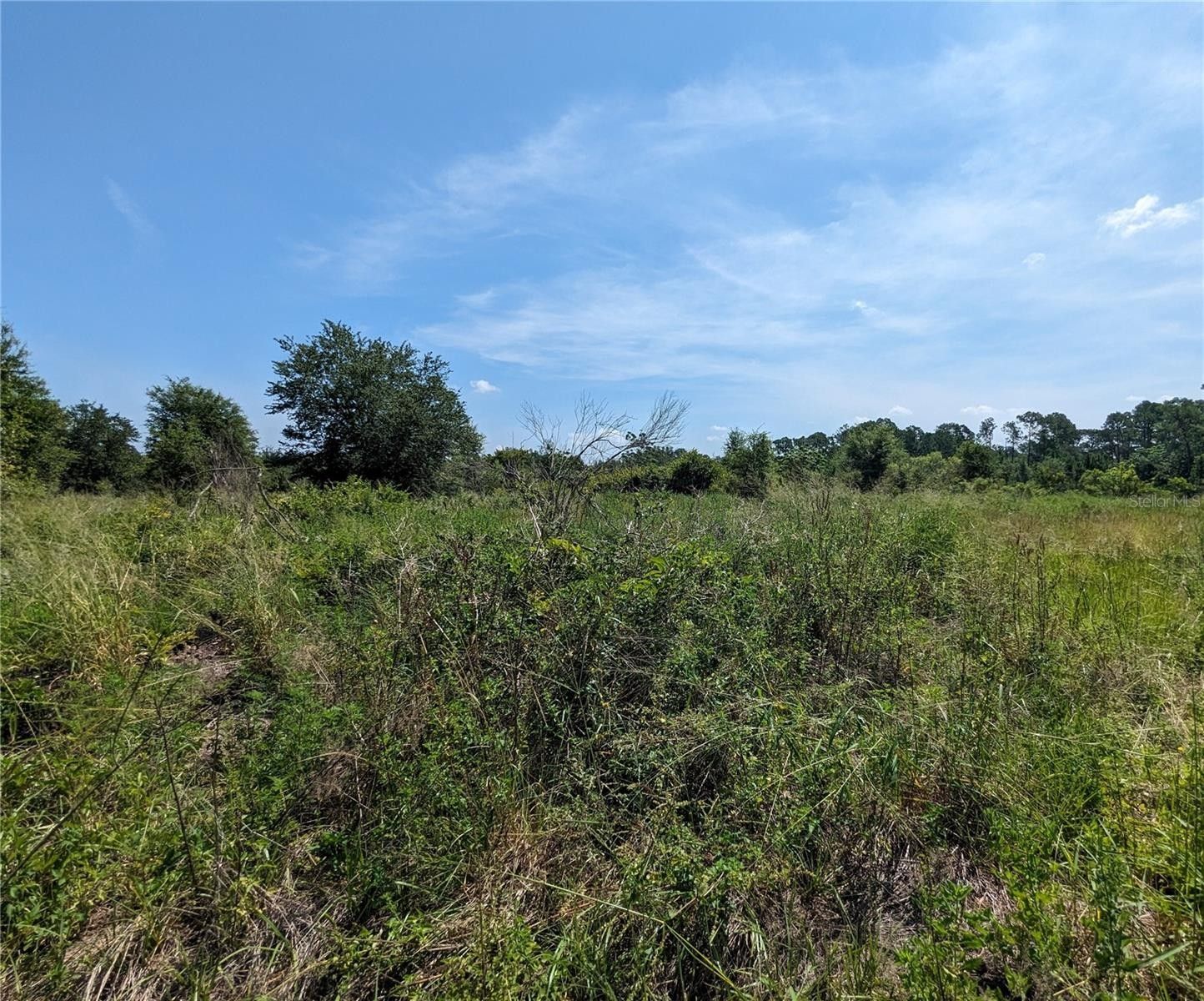 Groveland, Lake County, FL Undeveloped Land, Homesites for sale