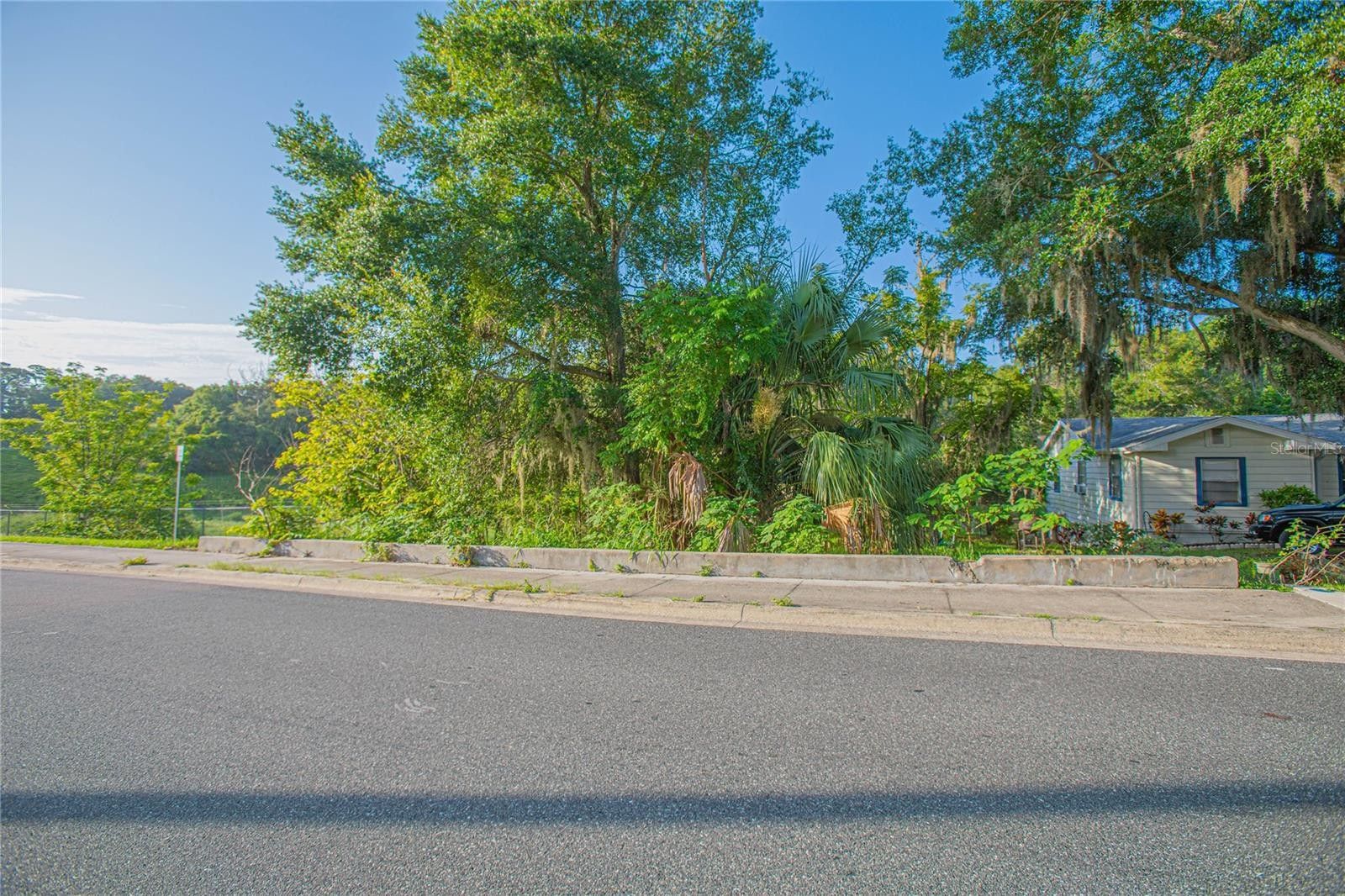 Clermont, Lake County, FL Undeveloped Land, Homesites for sale Property