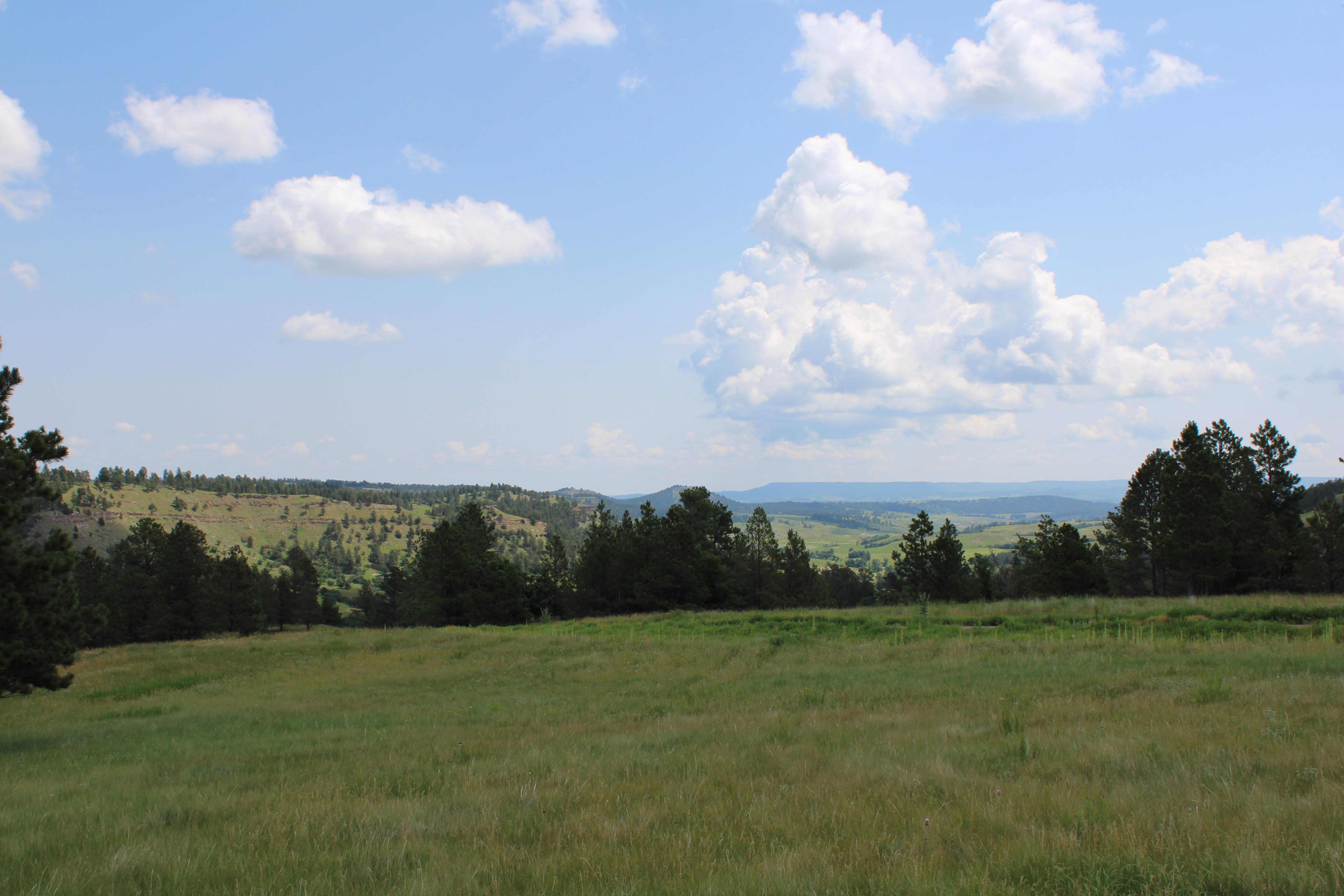 Tract 42 Yellowstone L&R Ranch, Hulett, WY 82720 MLS 23943