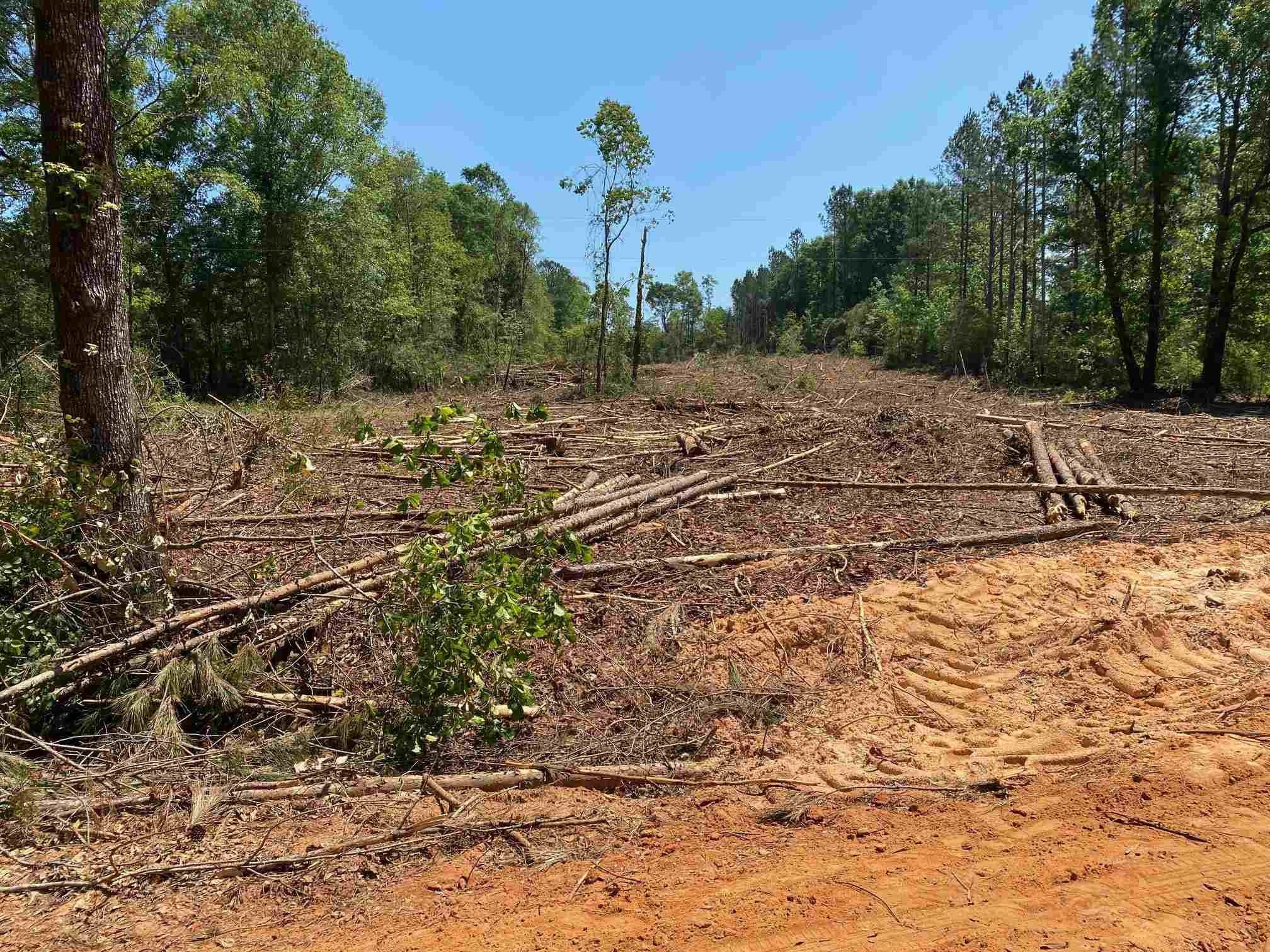 Westville, Holmes County, FL Undeveloped Land, Homesites for sale Property ID 417070183 LandWatch