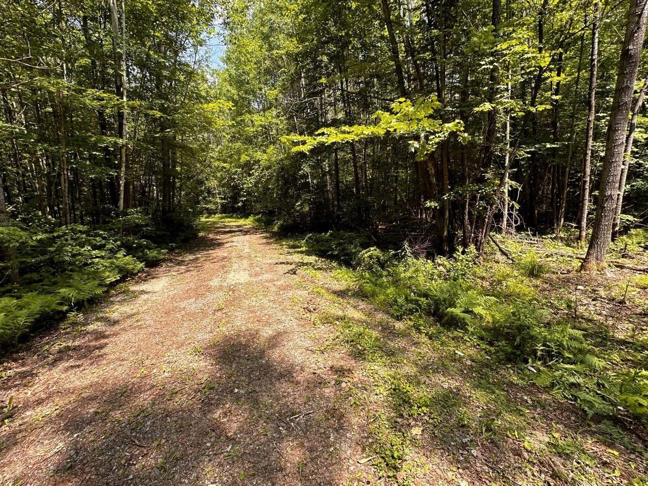 Crandon, Forest County, WI Undeveloped Land, Homesites for sale