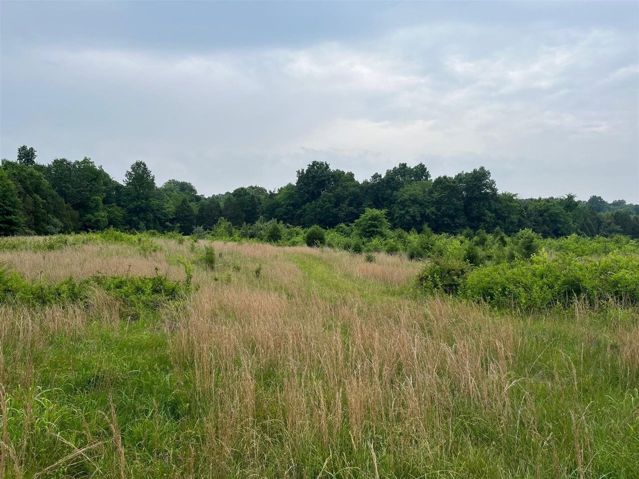 Bowling Green, Warren County, KY Undeveloped Land for sale Property ID