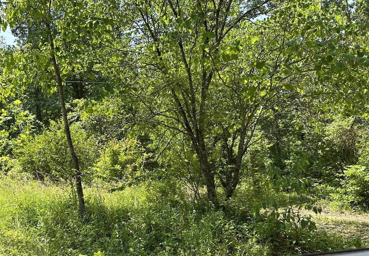 Bee Spring, Edmonson County, KY Farms and Ranches for sale Property ID 417071115 LandWatch