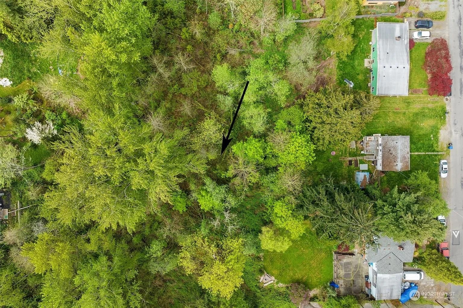 Seattle, King County, WA Timberland Property, Undeveloped Land