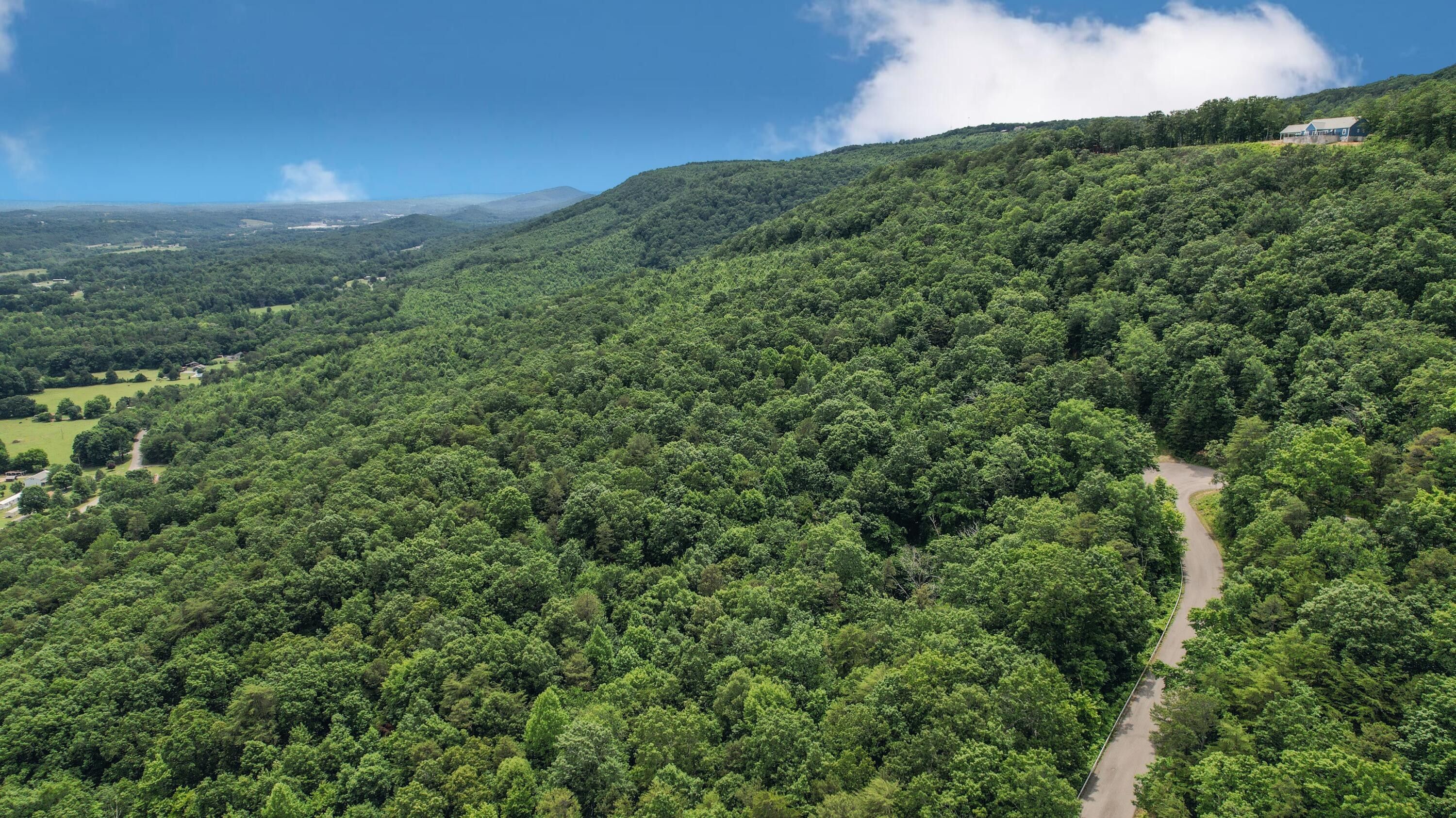 Evensville, Rhea County, TN Undeveloped Land for sale Property ID