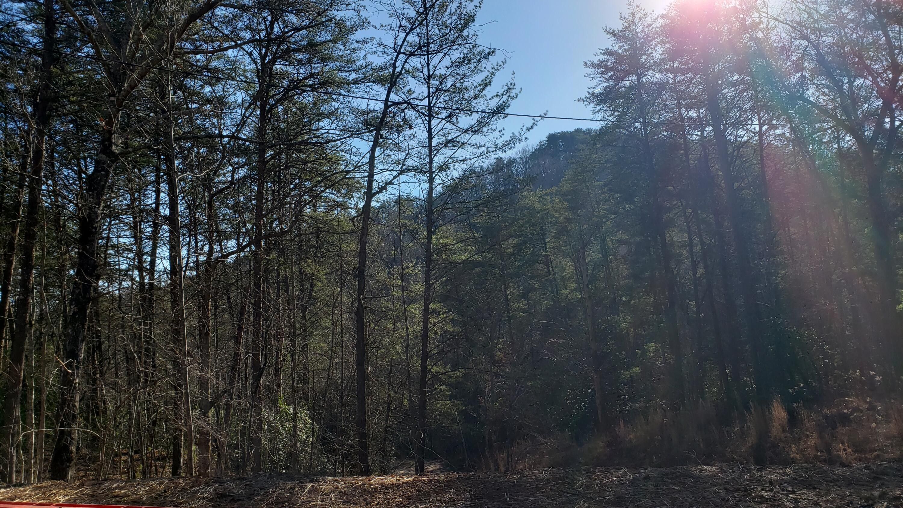 Copperhill, Polk County, TN Lakefront Property, Waterfront Property for