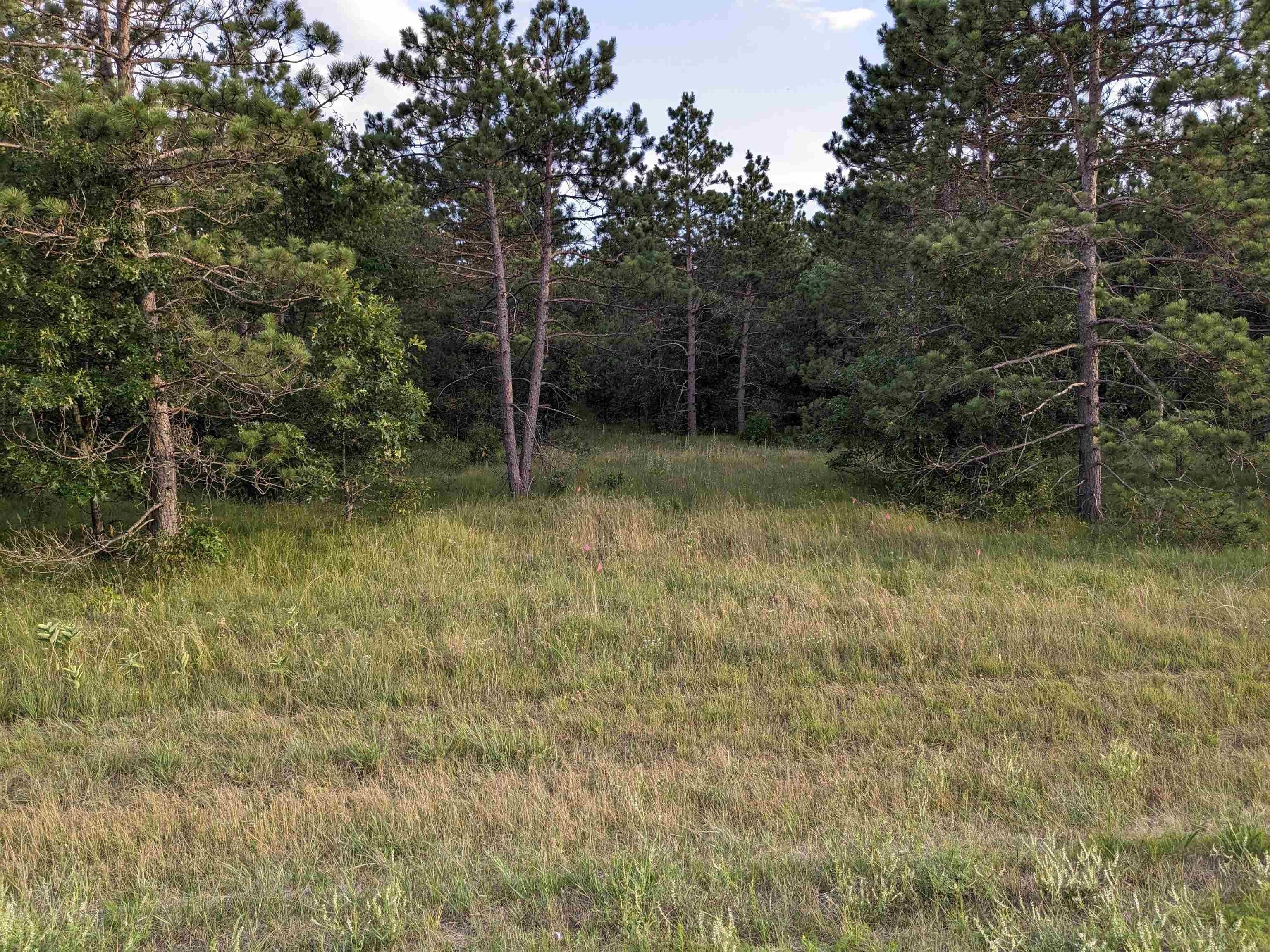 Nekoosa, Adams County, WI Farms and Ranches for sale Property ID