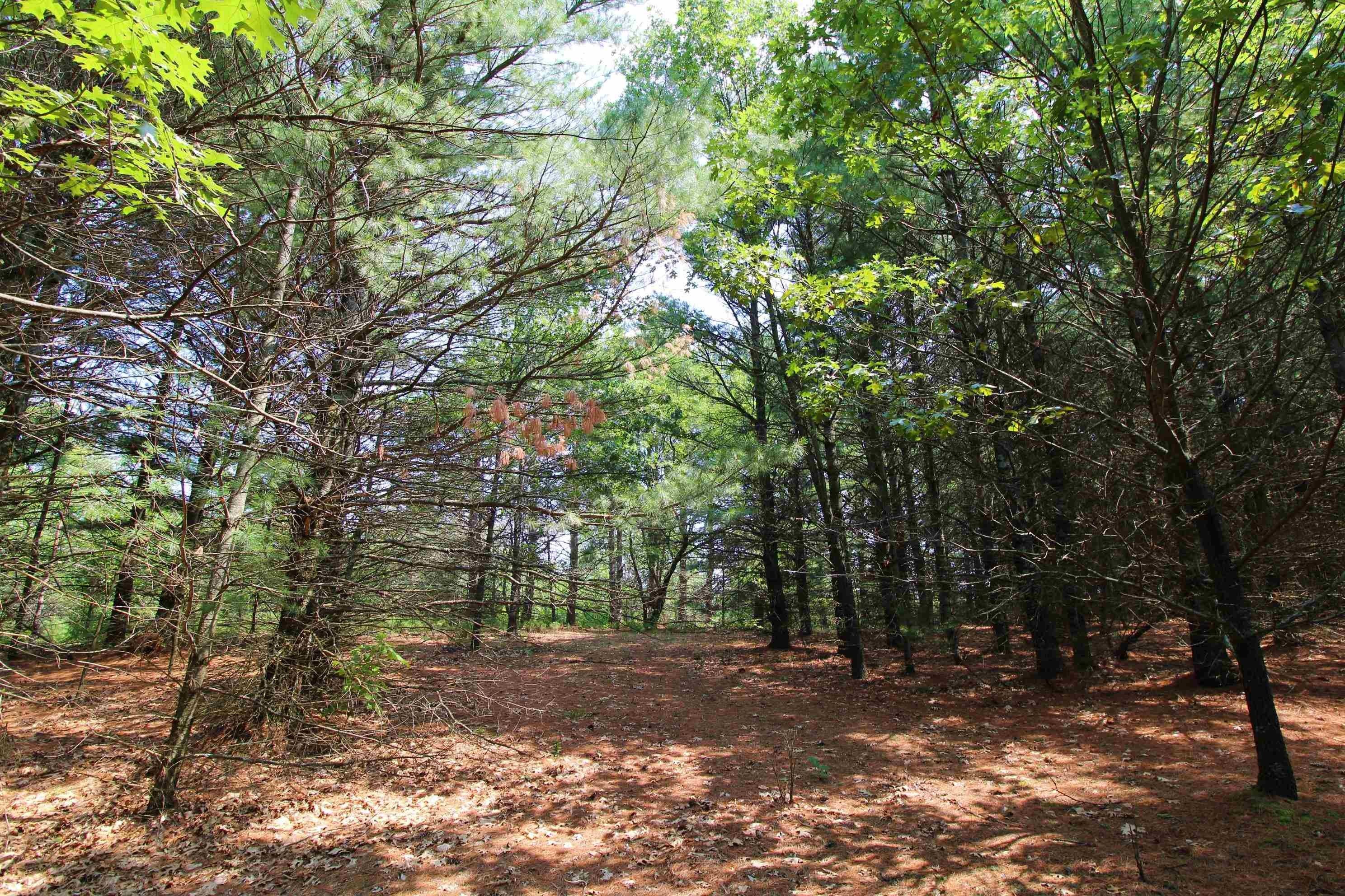 Coloma, Waushara County, WI Undeveloped Land for sale Property ID