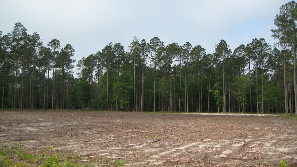 Hahira, Lowndes County, GA Homesites for sale Property ID 417073148