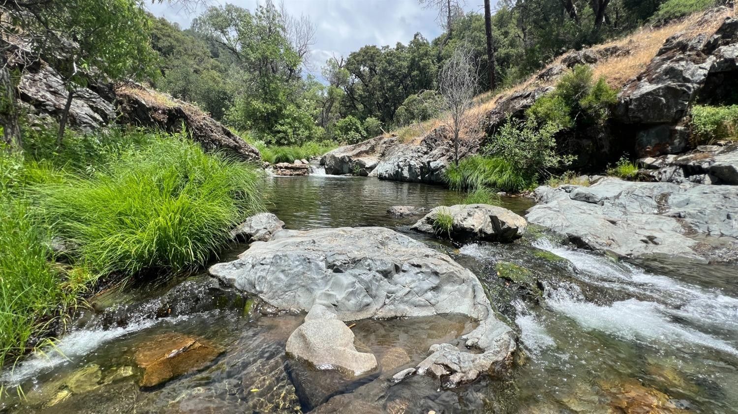 Sheep Ranch Rd, Sheep Ranch, CA 95246 MLS 202300794 LandWatch