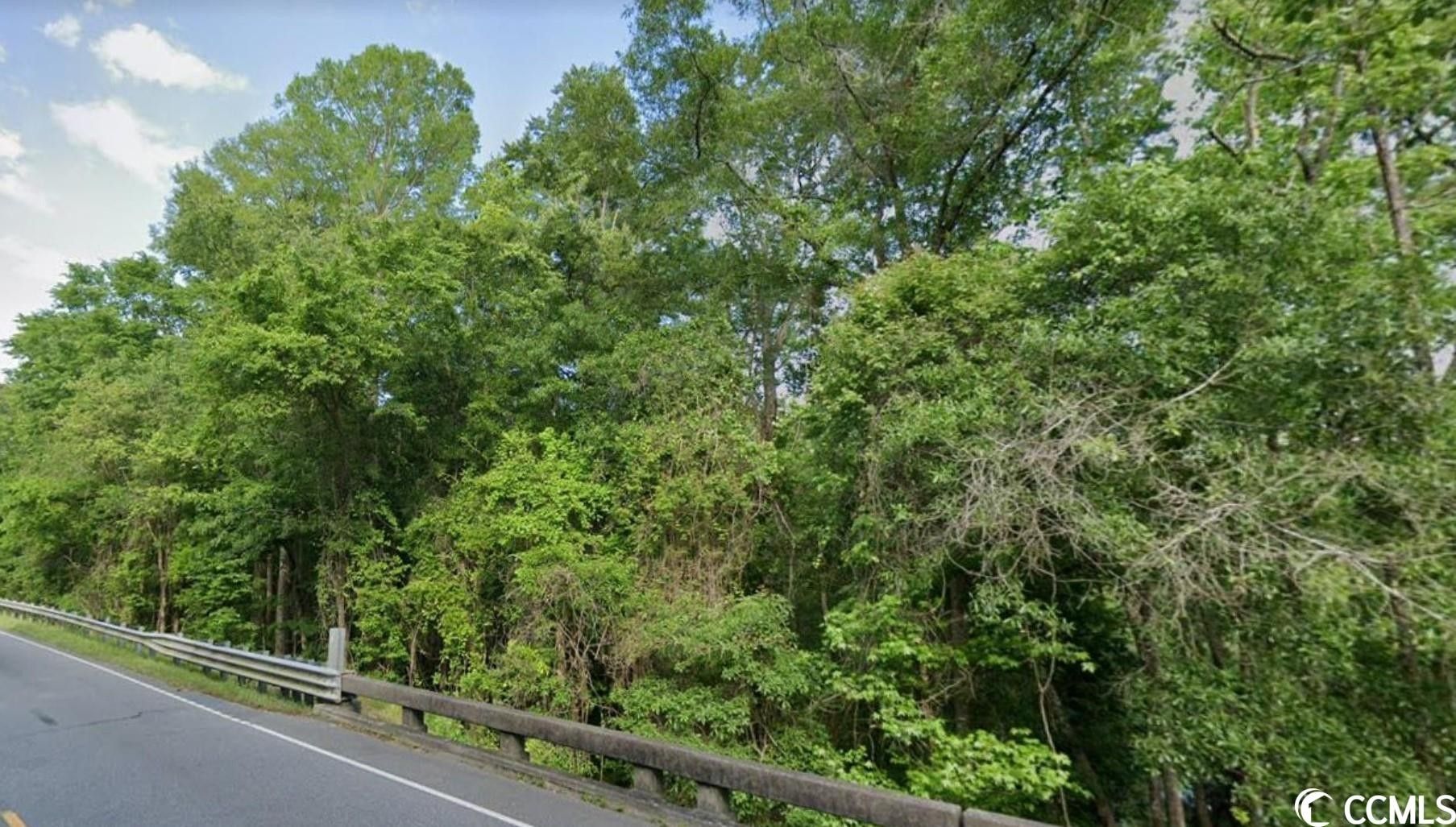 Conway, Horry County, SC Farms and Ranches, Homesites for sale Property