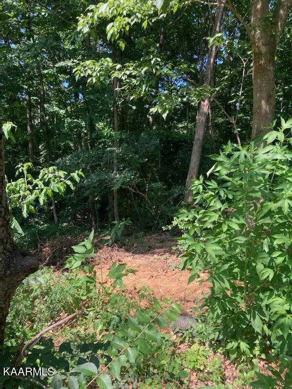 Knoxville, Knox County, TN Homesites for sale Property ID 417076141