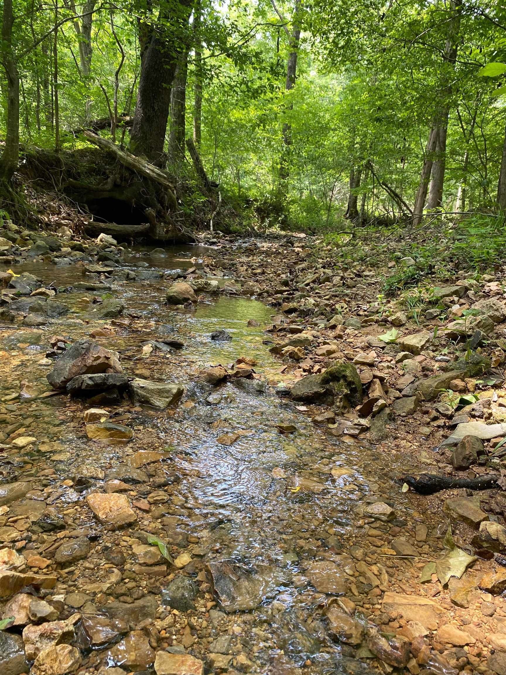 Dickson, Dickson County, TN Undeveloped Land for sale Property ID