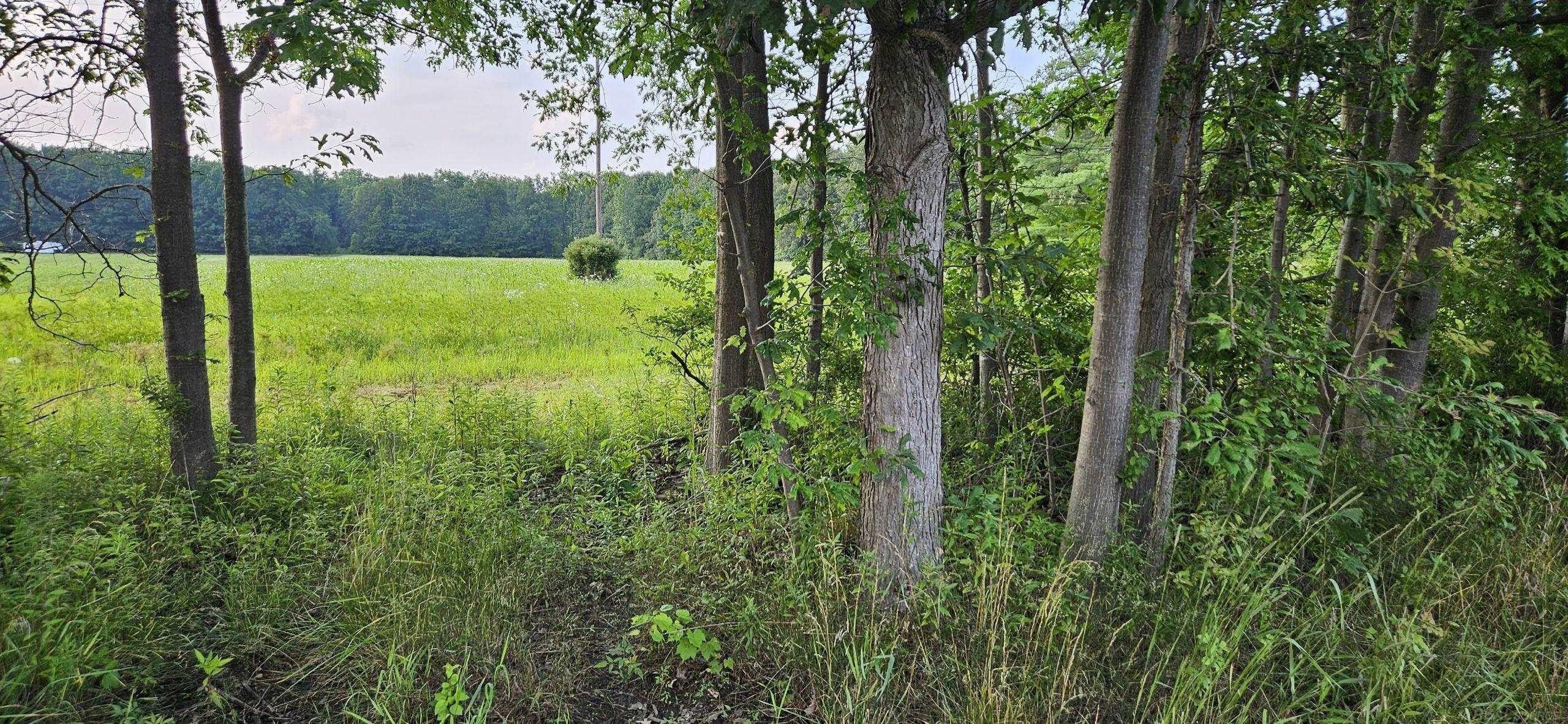 Richmond, County, MI Undeveloped Land for sale Property ID