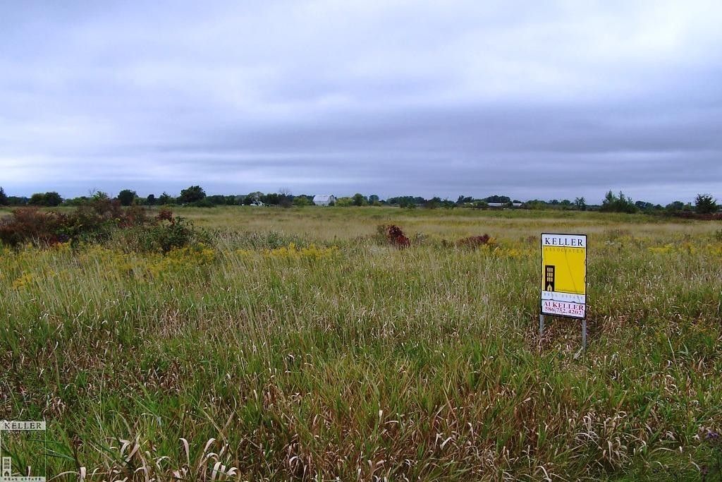 Imlay City, Lapeer County, MI Undeveloped Land for sale Property ID