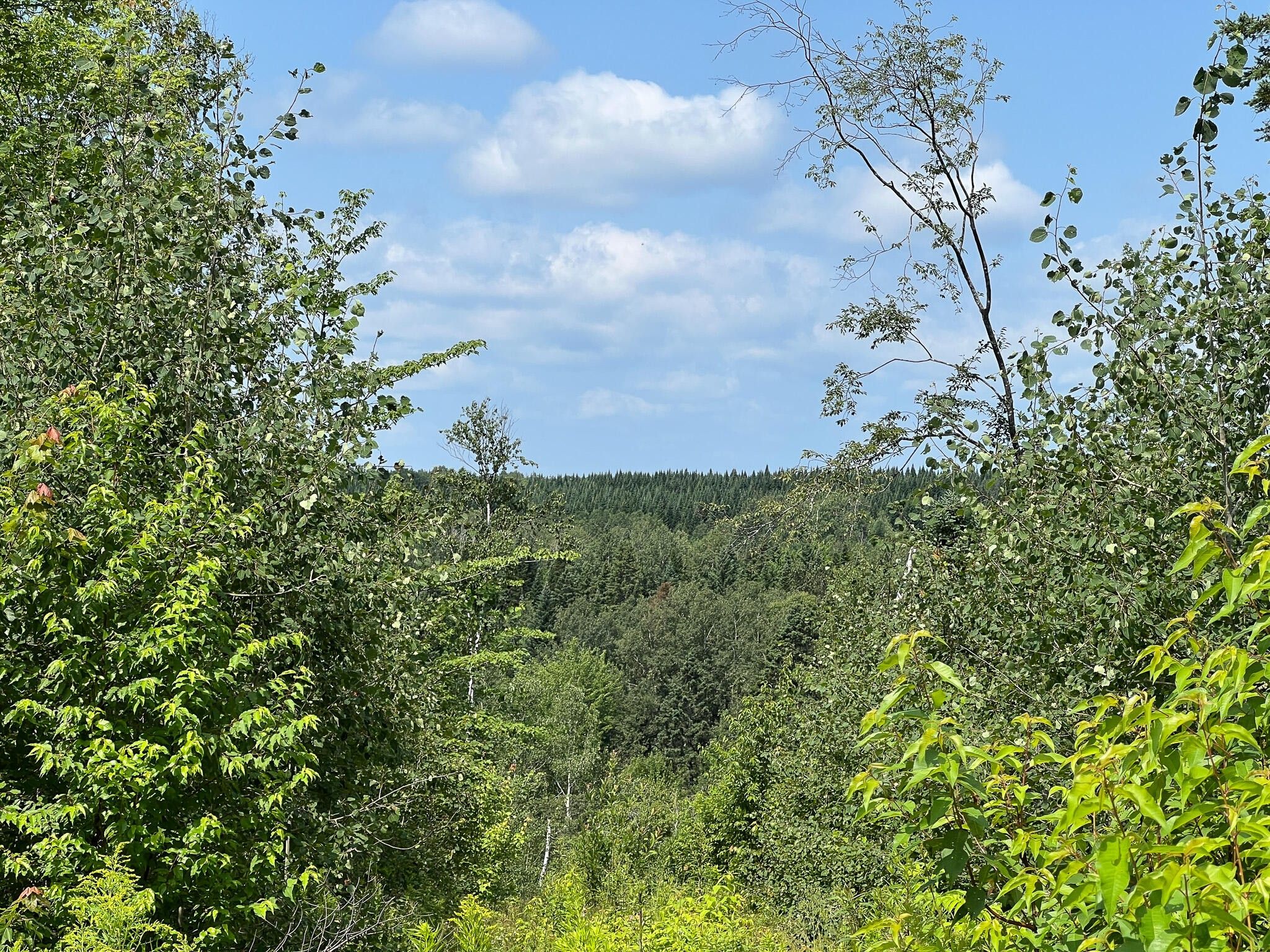 Ashland, Aroostook County, ME Farms and Ranches for sale Property ID