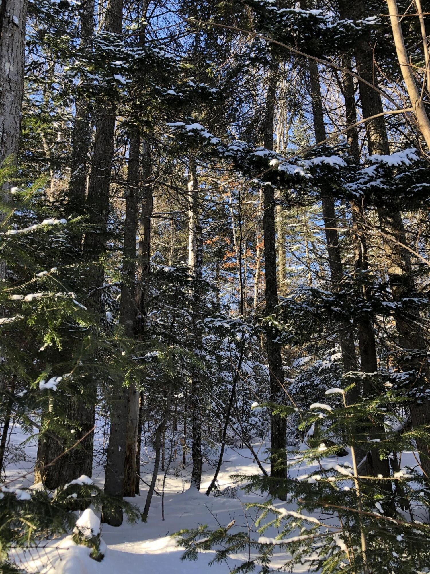 Rangeley, Franklin County, ME Undeveloped Land, Lakefront Property