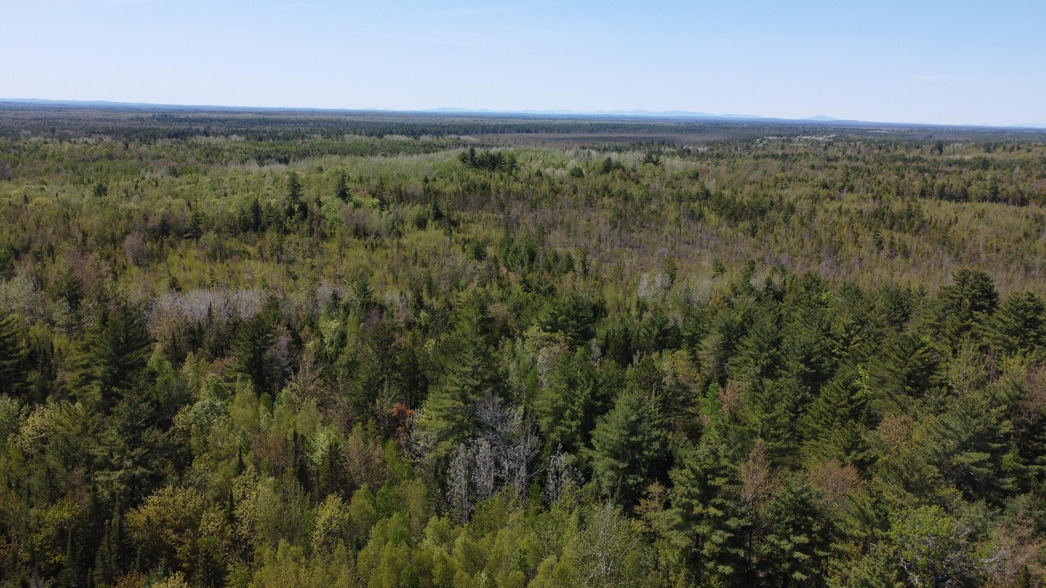 Greenbush, Penobscot County, ME Undeveloped Land for sale Property ID