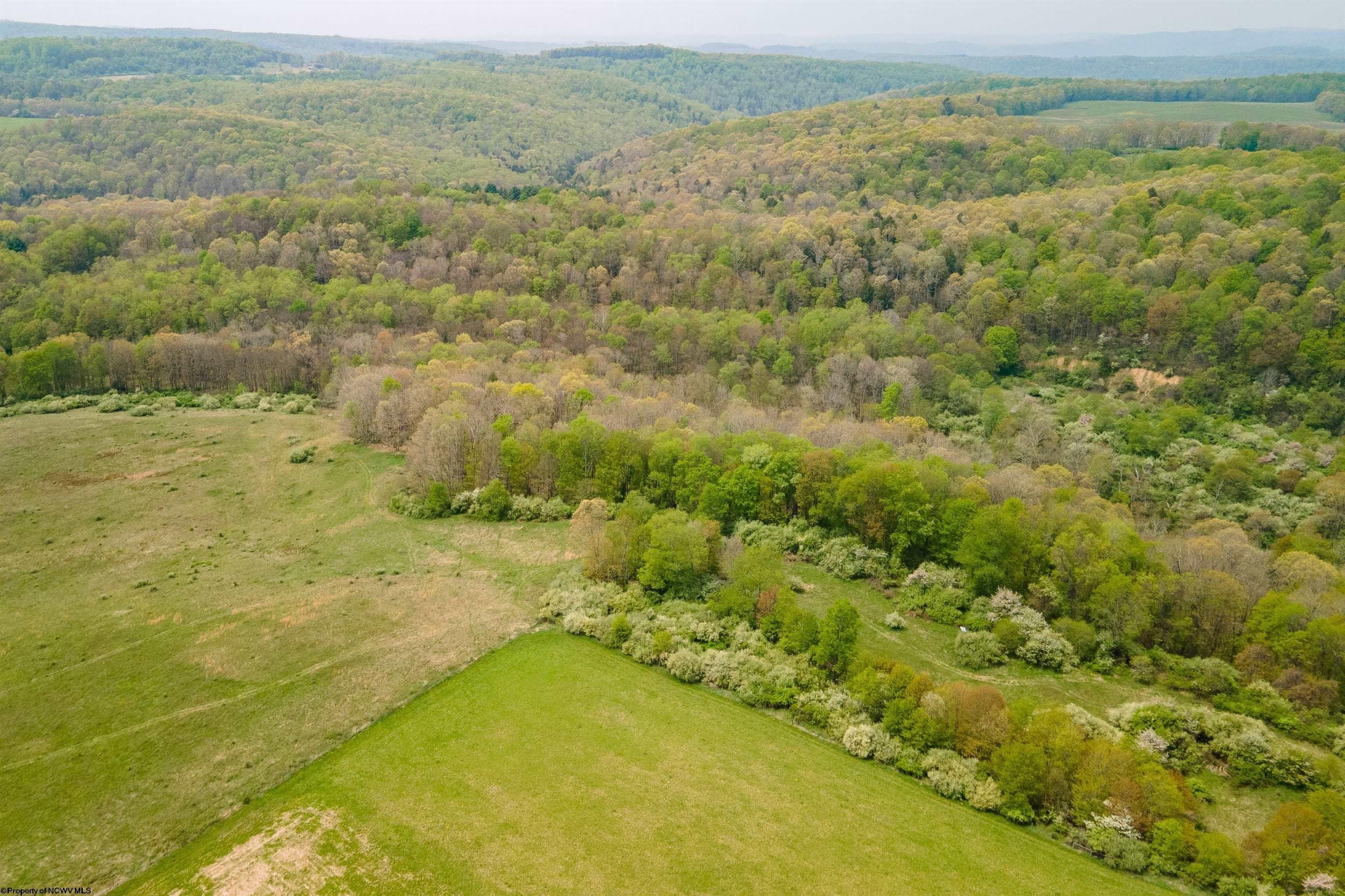 Bruceton Mills, Preston County, WV Farms and Ranches for sale Property