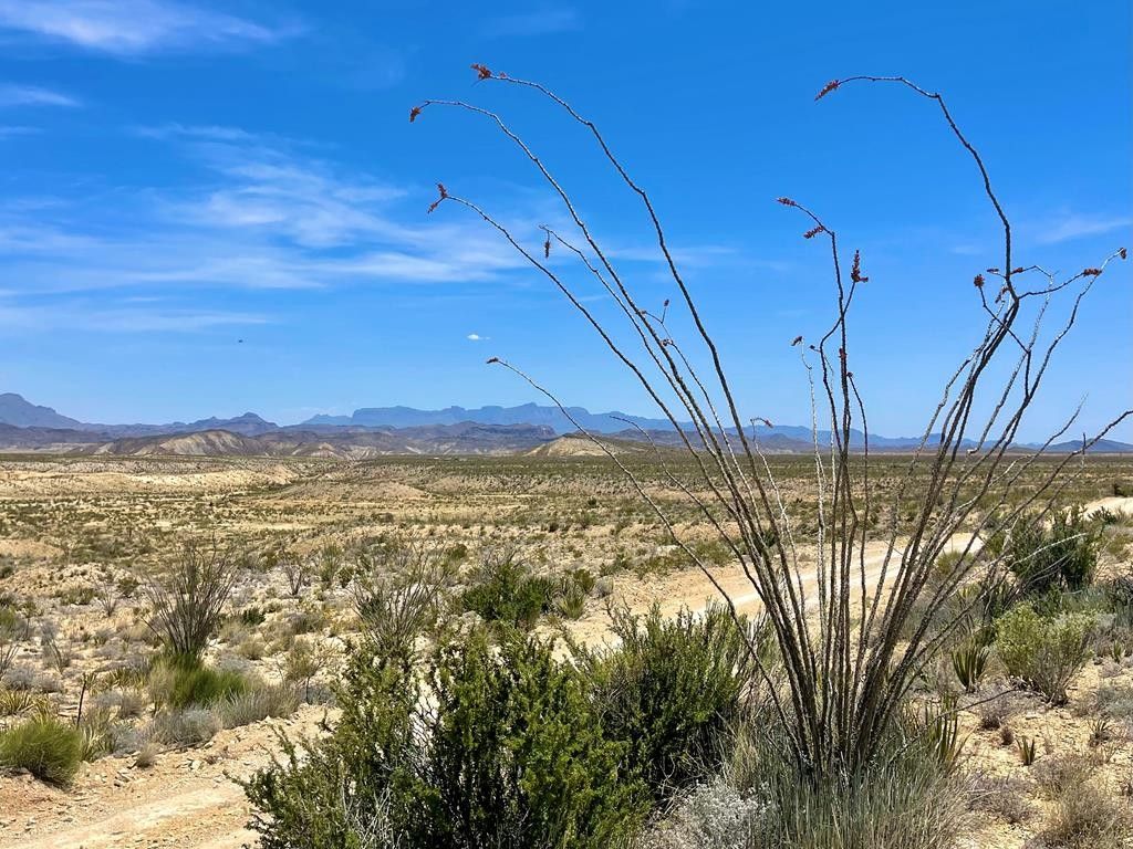 Terlingua, Brewster County, TX Undeveloped Land for sale Property ID