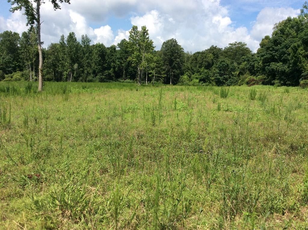 Rutledge, Crenshaw County, AL Farms and Ranches for sale Property ID