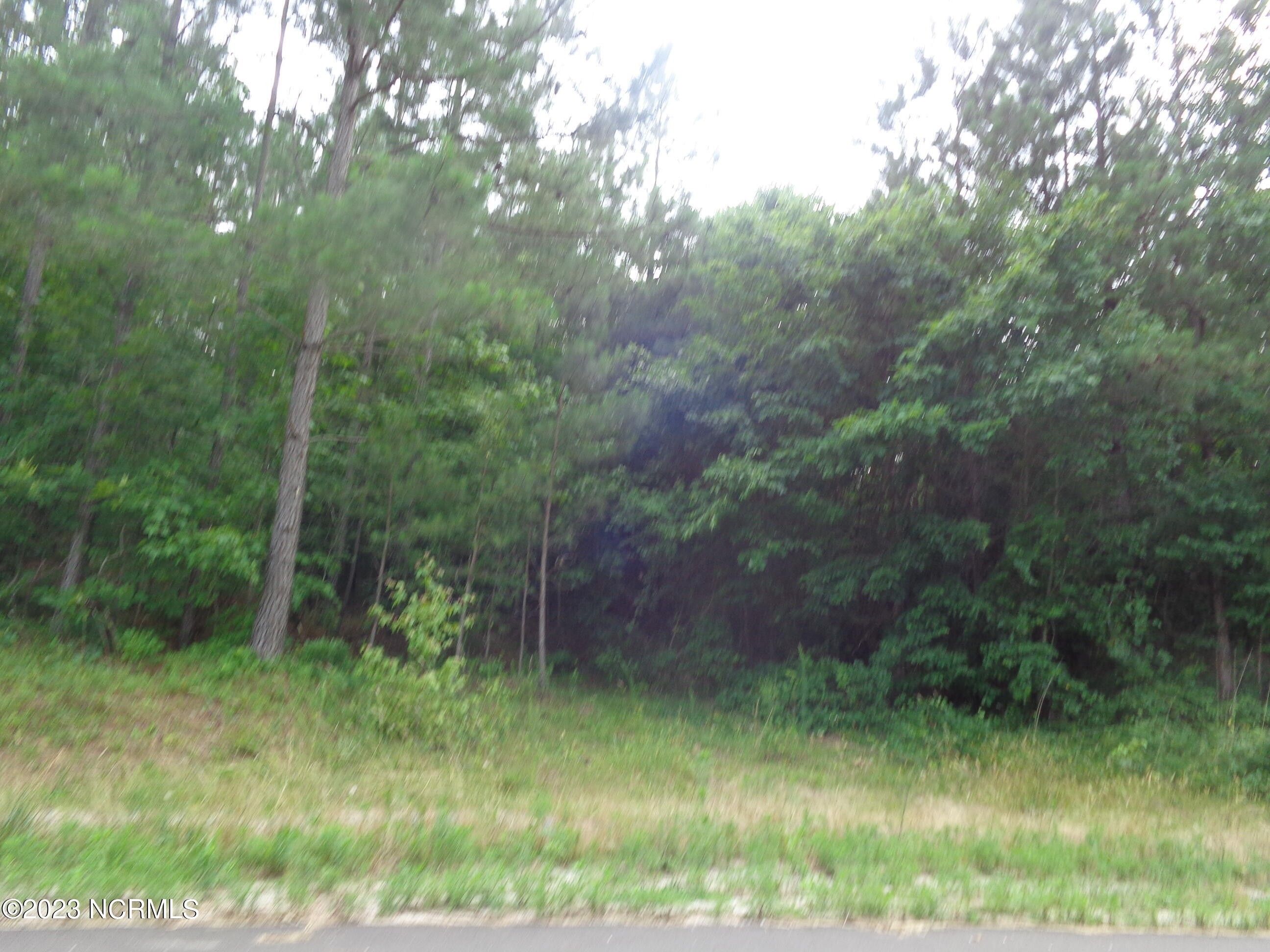 Ellerbe, Richmond County, NC Farms and Ranches for sale Property ID