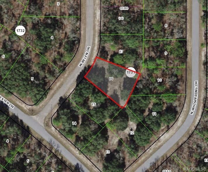 Citrus Springs, Citrus County, FL Undeveloped Land, Homesites for sale