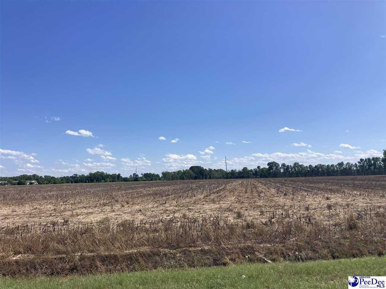 Dillon, Dillon County, SC Commercial Property for sale Property ID