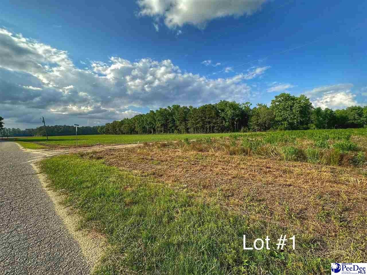 Hamer, Dillon County, SC Undeveloped Land, Homesites for sale Property ID 417080550 LandWatch