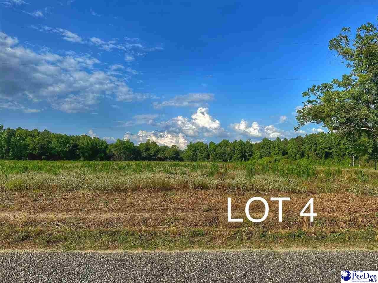 Lot 4 Oliver Road, Hamer, SC 29547 MLS 20231850 LandWatch