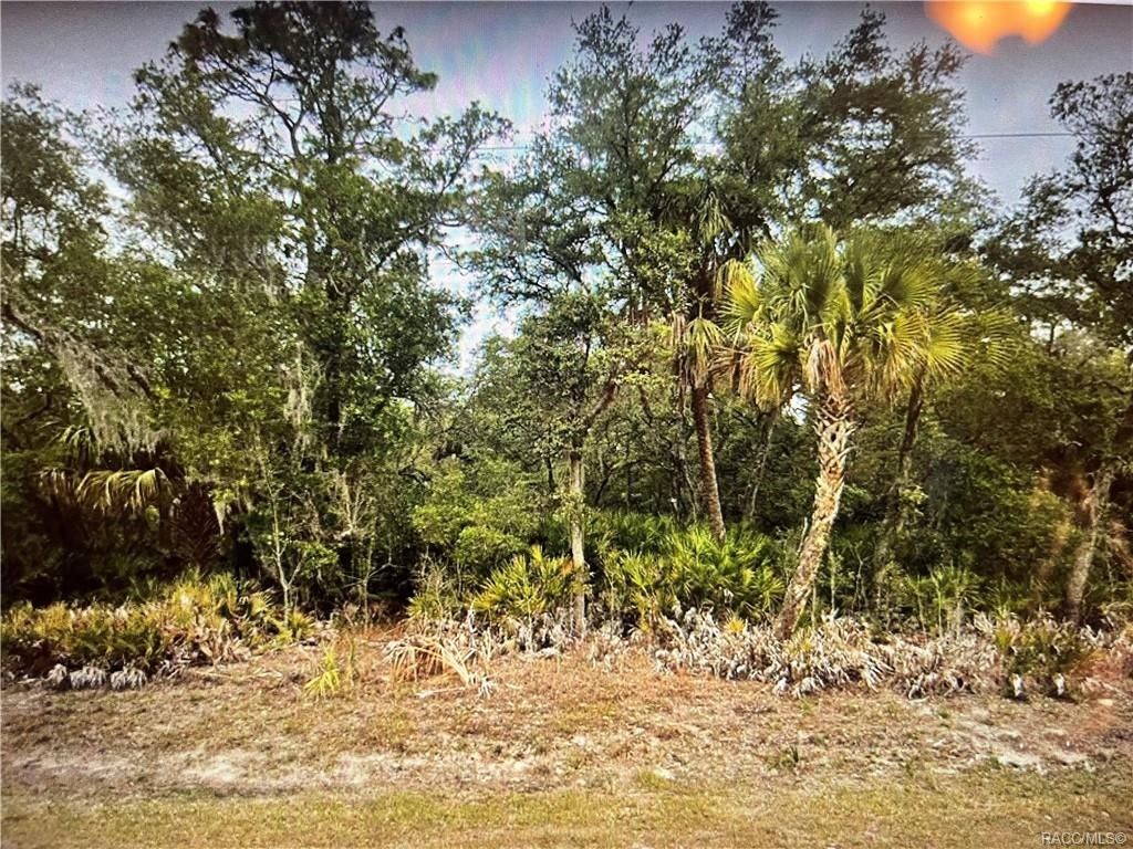 Crystal River, Citrus County, FL Undeveloped Land, Homesites for sale