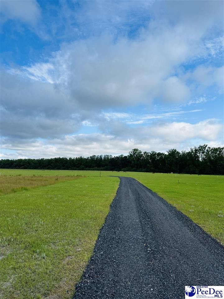 Turbeville, Clarendon County, SC Farms and Ranches for sale Property ID