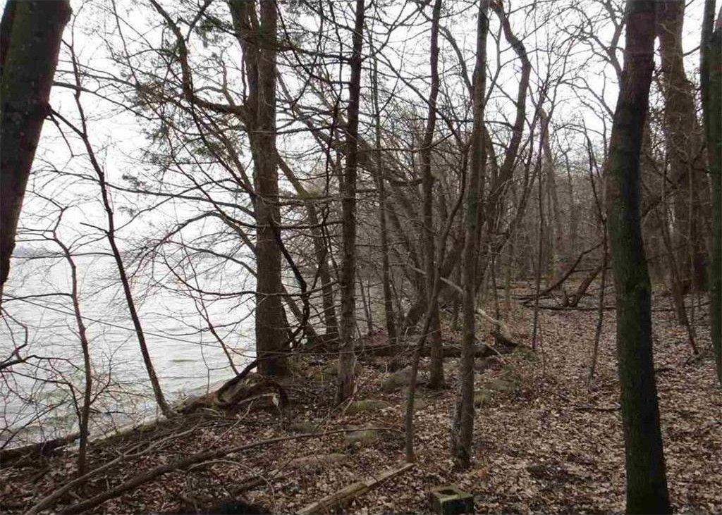 Janesville, Waseca County, MN Farms and Ranches, Lakefront Property