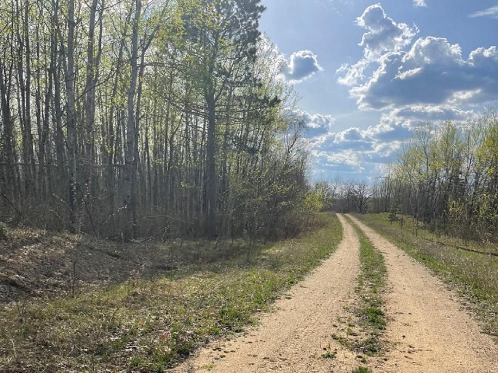Park Rapids, Hubbard County, MN Undeveloped Land for sale Property ID 417081773 LandWatch
